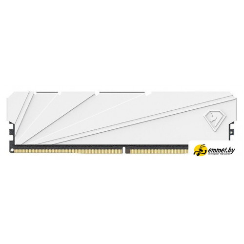 Оперативная память Netac Shadow S 16ГБ DDR4 3200 МГц NTSSD4P32SP-16W