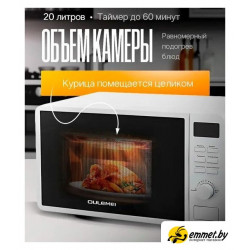Микроволновая печь Oulemei OLM-WBW004