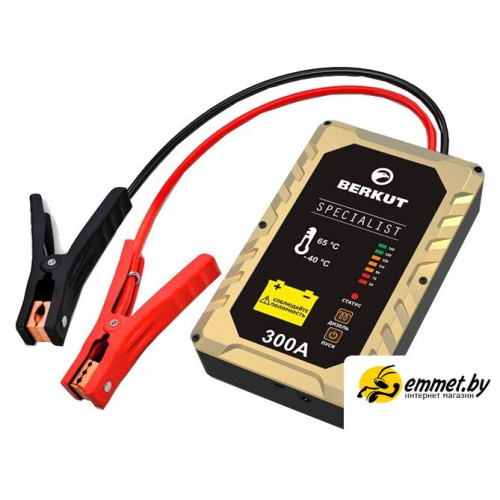 Портативное пусковое устройство Беркут JSC-300C