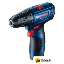 Дрель-шуруповерт Bosch GSR 120-LI Professional 06019G8000 (с 2-мя АКБ, кейс)
