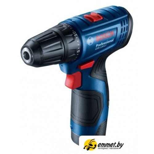 Дрель-шуруповерт Bosch GSR 120-LI Professional 06019G8000 (с 2-мя АКБ, кейс)