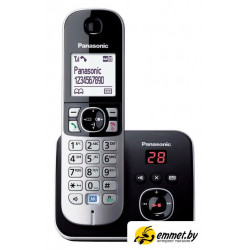 Радиотелефон Panasonic KX-TG6821RUB