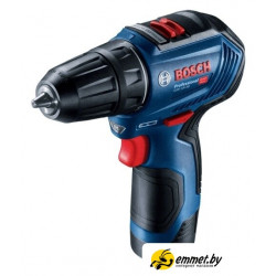 Дрель-шуруповерт Bosch GSR 12V-30 Professional 06019G9000 (с 2-мя АКБ, кейс)