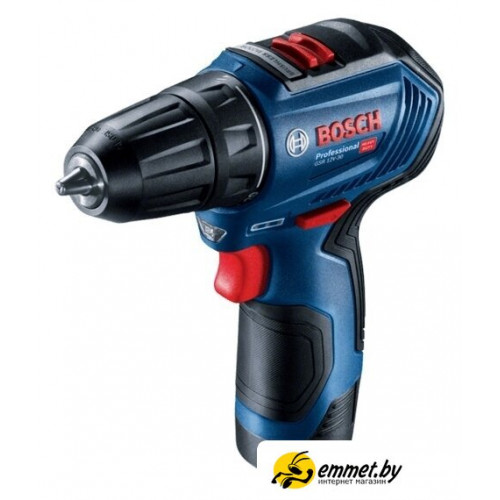 Дрель-шуруповерт Bosch GSR 12V-30 Professional 06019G9000 (с 2-мя АКБ, кейс)