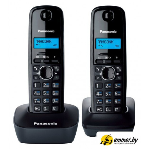 Радиотелефон Panasonic KX-TG1612RUH
